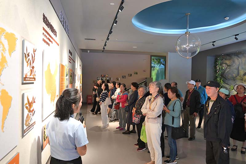 參觀(guān)桂花文化體驗館二A.jpg
