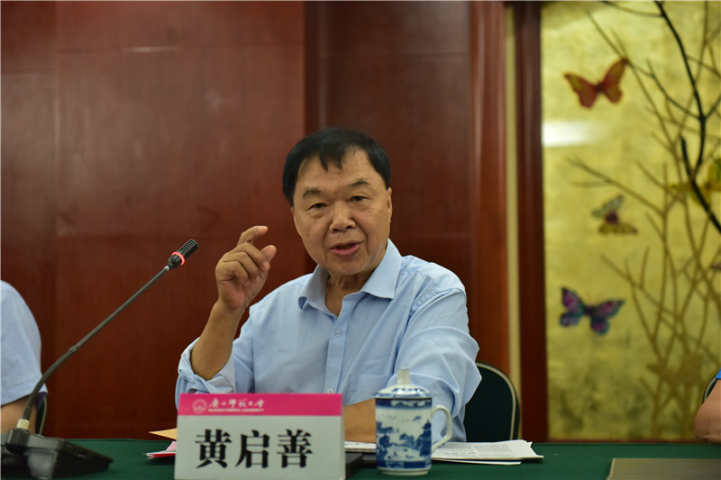 廣西壯族自治區博物館原館長(cháng)、研究館員黃啟善發(fā)言（郭倩 攝）.JPG