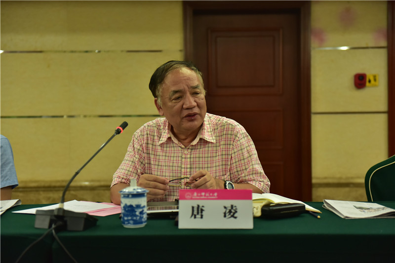 廣西歷史學(xué)會(huì )會(huì )長(cháng)、廣西師范大學(xué)歷史文化與旅游學(xué)院教授唐凌發(fā)言（郭倩 攝）.JPG